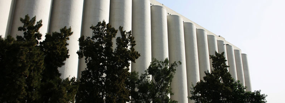 Rehabilitation of Silos at Beirut Port