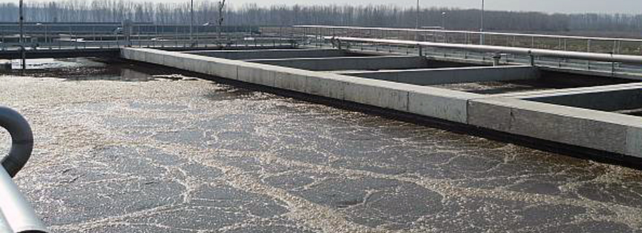 Design & Construction of Craiova Wastewater Treatment Plant