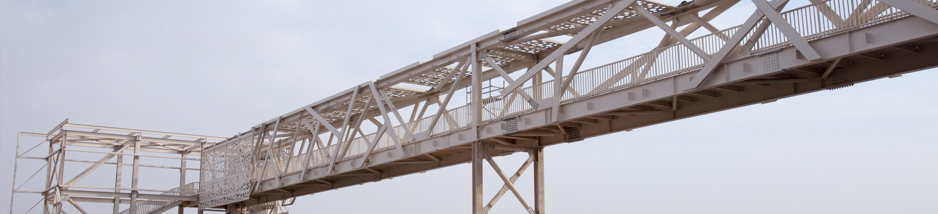 Design and Build of Pedestrian Bridges